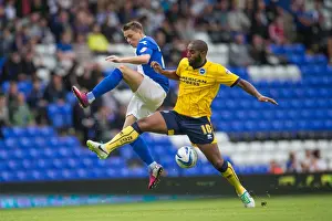 Birmingham City - 17-08-2013 Prints: Brighton & Hove Albion vs. Birmingham City: Away Game (2013-14 Season)