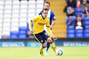 Brighton & Hove Albion vs. Birmingham City: Away Game (August 17, 2013)