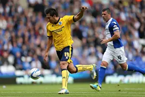 Brighton & Hove Albion vs. Birmingham City: Away Game (August 17, 2013)
