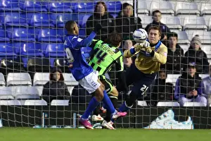 Birmingham City - 19-01-2013 Prints: Brighton & Hove Albion vs. Birmingham City: Away Game - January 19, 2013 (Season 2012-13)