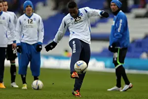 Birmingham City - 19-01-2013 Prints: Brighton & Hove Albion vs. Birmingham City (Away): A Glance Back at the 2012-13 Season's Game (January 19)