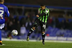 Birmingham City - 19-01-2013 Prints: Brighton & Hove Albion vs. Birmingham City (Away) - A Look Back at the 2012-13 Season's Clash