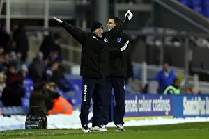 Birmingham City - 19-01-2013 Prints: Brighton & Hove Albion vs. Birmingham City (Away) - A Look Back at the 2012-13 Season's Game