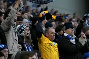 Brighton & Hove Albion vs. Birmingham City: Clash at the Amex, 21st February 2015