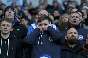 Brighton & Hove Albion vs. Birmingham City: Clash at the Amex Stadium - 21st February 2015