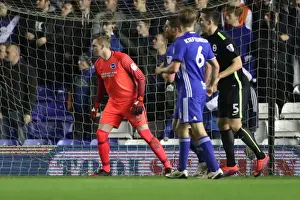 Birmingham City 17DE16 Prints: Brighton and Hove Albion vs. Birmingham City: EFL Sky Bet Championship Clash at St