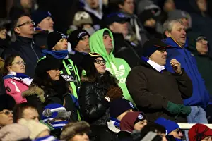 Brighton & Hove Albion vs. Birmingham City: A Glance at the 2012-13 Away Game (19-01-2013)