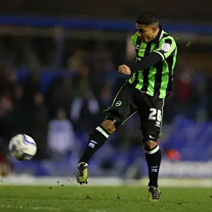 Birmingham City - 19-01-2013 Prints: Brighton & Hove Albion vs. Birmingham City: A Glance at the 2012-13 Away Game (19-01-2013)