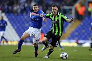 Brighton & Hove Albion vs Birmingham City: A Glance at the 2012-13 Season Away Game