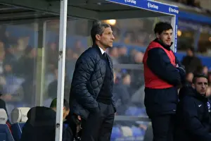 Brighton and Hove Albion vs. Birmingham City: Sky Bet Championship Showdown at St. Andrews (05APR16)