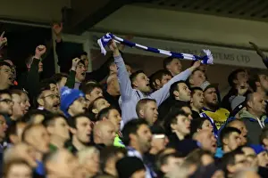 Brighton and Hove Albion vs. Birmingham City: Sky Bet Championship Showdown at St. Andrews (05/04/2016)