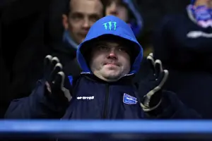 Birmingham City - 19-01-2013 Prints: Brighton & Hove Albion vs. Birmingham City: A Thrilling 2012-13 Away Game