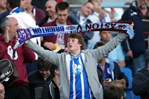 Birmingham City - 29-09-12 Prints: Brighton & Hove Albion vs. Birmingham City: A Thrilling 2012-13 Home Game