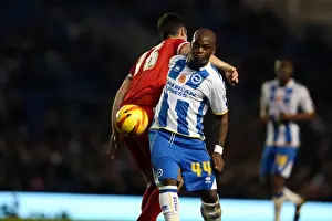 Blackburn Rovers - 09-11-2013 Prints: Brighton & Hove Albion vs. Blackburn Rovers (2013-14): A Home Game