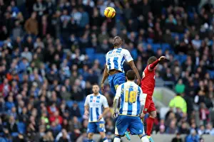 Brighton & Hove Albion vs. Blackburn Rovers (2013-14): A Home Game