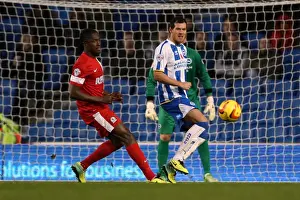 Blackburn Rovers - 09-11-2013 Prints: Brighton & Hove Albion vs. Blackburn Rovers (2013-14 Season) - A Home Game