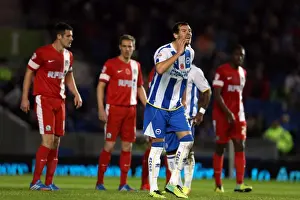 Blackburn Rovers - 09-11-2013 Prints: Brighton & Hove Albion vs. Blackburn Rovers (2013-14 Season): Home Game