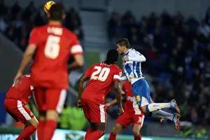 Blackburn Rovers - 09-11-2013 Prints: Brighton & Hove Albion vs. Blackburn Rovers (2013-14 Season) - A Home Game