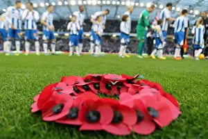 Blackburn Rovers - 09-11-2013 Prints: Brighton & Hove Albion vs. Blackburn Rovers (2013-14 Season) - A Home Game