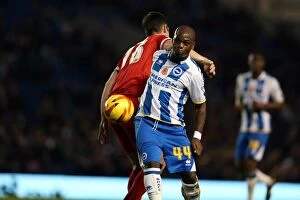 Images Dated 9th November 2013: Brighton & Hove Albion vs. Blackburn Rovers (2013-14): A Home Game