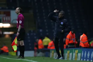 Brighton and Hove Albion vs. Blackburn Rovers: EFL Sky Bet Championship Showdown at Ewood Park (13DEC16)