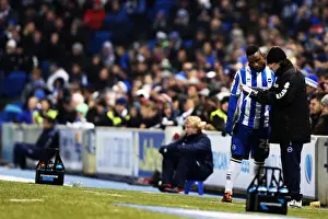 Blackburn Rovers - 12-02-2013 Prints: Brighton & Hove Albion vs. Blackburn Rovers: A Historic 2012-13 Home Match
