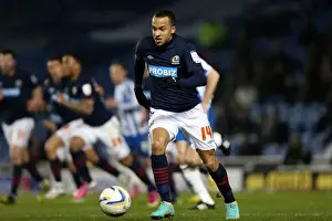 Blackburn Rovers - 12-02-2013 Prints: Brighton & Hove Albion vs. Blackburn Rovers: A Historic 2012-13 Home Match