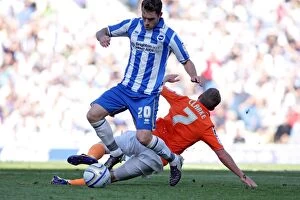 Images Dated 20th August 2011: Brighton & Hove Albion vs. Blackpool (2011-12): A Home Game