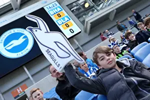 Brighton & Hove Albion vs. Blackpool (2012-13 Home Game)