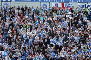 Blackpool - 20-04-2013 Prints: Brighton & Hove Albion vs. Blackpool (2012-13 Home Game)