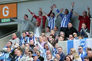 Brighton & Hove Albion vs. Blackpool: 2012-13 Home Game