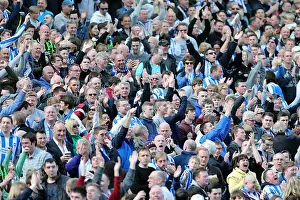 Brighton & Hove Albion vs. Blackpool: 2012-13 Home Game