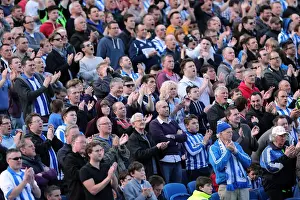 Brighton & Hove Albion vs. Blackpool: 2012-13 Home Game