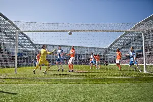 Blackpool - 20-04-2013 Prints: Brighton & Hove Albion vs. Blackpool: 2012-13 Home Game