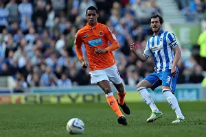Blackpool - 20-04-2013 Prints: Brighton & Hove Albion vs. Blackpool: 2012-13 Home Game Highlights