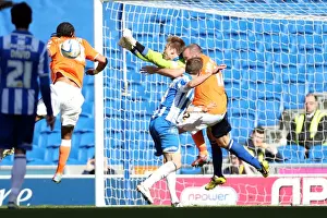Blackpool - 20-04-2013 Prints: Brighton & Hove Albion vs. Blackpool: 2012-13 Home Game Highlights