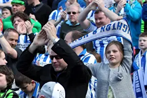 Blackpool - 20-04-2013 Prints: Brighton & Hove Albion vs. Blackpool: 2012-13 Home Game Highlights (April 20, 2013)