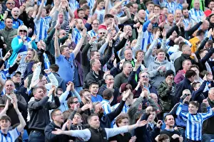 Brighton & Hove Albion vs. Blackpool: 2012-13 Season - Home Game Highlight