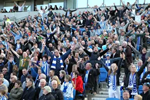 Blackpool - 20-04-2013 Prints: Brighton & Hove Albion vs. Blackpool: 2012-13 Season Home Game Highlights (April 20, 2013)