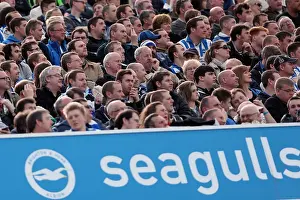 Blackpool - 20-04-2013 Prints: Brighton & Hove Albion vs. Blackpool: 2012-13 Season Home Game Highlights (April 20, 2013)