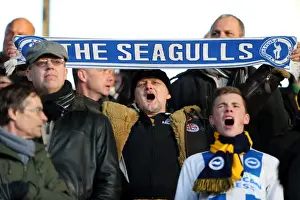 Blackpool - 29-12-2013 Prints: Brighton & Hove Albion vs. Blackpool: 2013-14 Away Game (December 29)