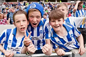 Brighton & Hove Albion vs. Blackpool: A 2013-14 Home Game (April 21)
