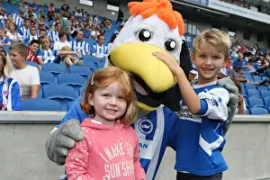Brighton & Hove Albion vs. Blackpool: 2014-15 Season Home Game