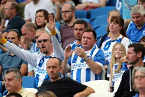 Brighton & Hove Albion vs. Blackpool: 2014-15 Season Home Game