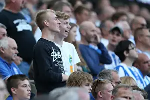 Brighton & Hove Albion vs. Blackpool: 2014-15 Season Home Game