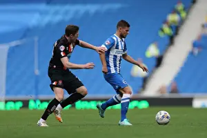 Brighton & Hove Albion vs. Blackpool: 2014-15 Season Home Game