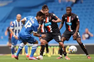 Brighton & Hove Albion vs. Blackpool: 2014-15 Season Home Game