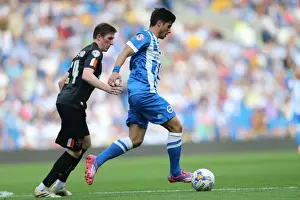 Brighton & Hove Albion vs. Blackpool: 2014-15 Season Home Game