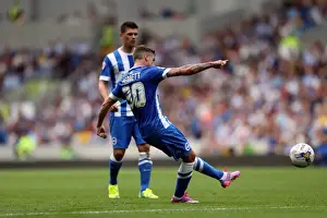 Brighton & Hove Albion vs. Blackpool: 2014-15 Season Home Game