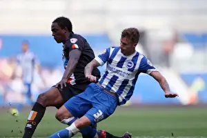 Brighton & Hove Albion vs. Blackpool: 2014-15 Season Home Game